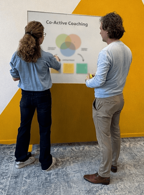 Insights coaching approach